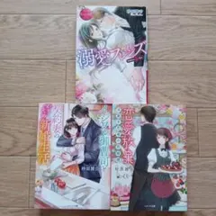 恋愛小説 砂原雑音 3冊セット