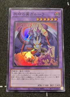 共命の翼ガルーラ WP49-P1049