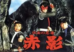 2026年最新】仮面の忍者赤影dvdの人気アイテム - メルカリ