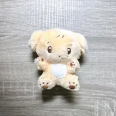 SEVENTEEN セブチ DK ドギョム マスター ぬいぐるみ