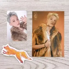 SEVENTEEN SEASON'S GREETINGS トレカ ホシ