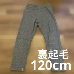裏起毛 120 女の子