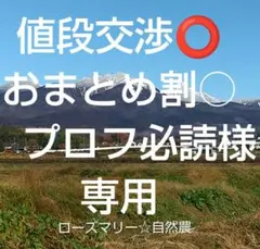 値段交渉⭕おまとめ割○　プロフ必読様専用