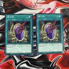 遊戯王OCG 龍の鏡 2枚セット