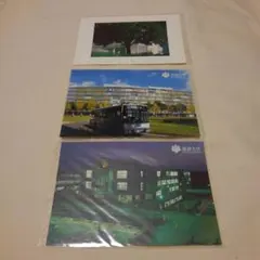 Item thumbnail for item 49b9f97b-5a78-4e4a-94ff-f1774a98bfbd