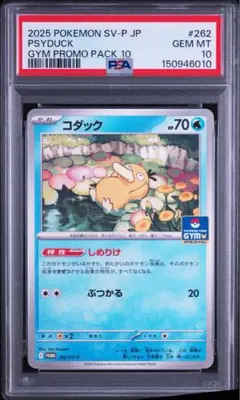 コダック 262/SV-P プロモ PSA10 ポケモンカード 39 PSA10】コダック ジムプロモ 262/SV-P ポケモンカード - メルカリ