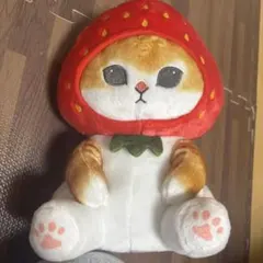 フルーツにゃん BIGぬいぐるみ mofusand いちご 猫