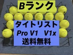 タイトリストプロv1x
