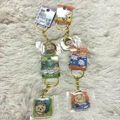 ご当地ちいかわ　うさぎ　４個セット