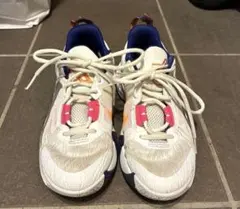 NIKE バッシュ　ジュニア　22.5cmのサムネイル