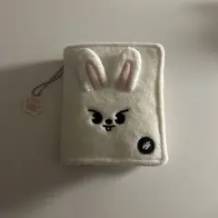 stray kids skzoo リービット　フォトカードケース