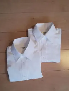 Item thumbnail for item bccca30d-6f77-451d-ae95-3d0151aad246