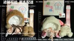 Item thumbnail for item 77adc293-cd32-4dac-ae0d-96c236ce2426