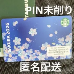 PIN未削り　スターバックスカード 桜 エアリーブルーのサムネイル