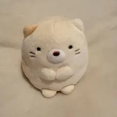 フリッカまつもと ましゅまろせらぴ たまごシリーズ たぬき ぬいぐるみ