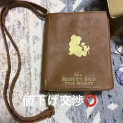 Disney ディズニー 美女と野獣 ショルダーバッグ ディズニーランド