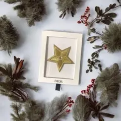新品・未使用 Dior 星型ブローチ