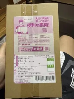 ポケモンカードゲーム MEGA ドリームex BOX シュリンク付きポケセン