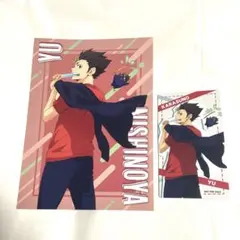 ハイキュー Yummyマスコット 西谷夕