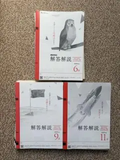 2025年度 進研模試 大学入学共通テスト模試 6月 9月 11月 高3・高卒生