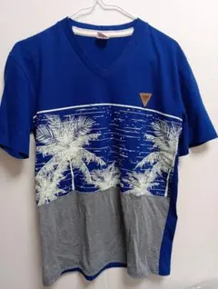 Item thumbnail for item cbe2a830-eb31-4357-af16-59ba86e2db44