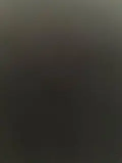 専用品です。
