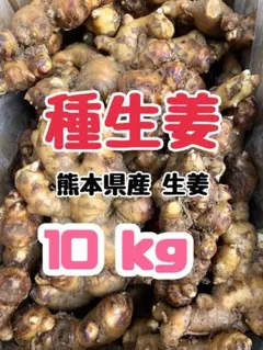 熊本生姜5kg 生姜5kg - メルカリ