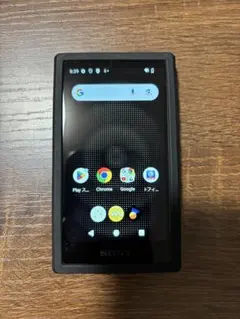2026年最新】sony nw-a306の人気アイテム - メルカリ