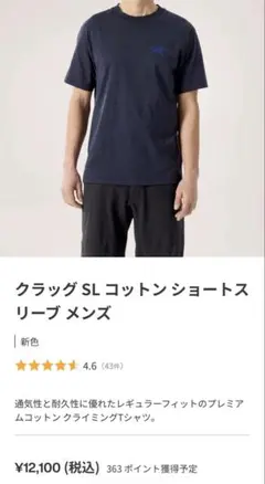 激レア 二子玉店 ARC'TERYX アークテリクス L Tシャツ ノベルティ