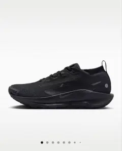 【新品未使用】NIKE ペガサス トレイル 5 GORE-TEX シューズのサムネイル