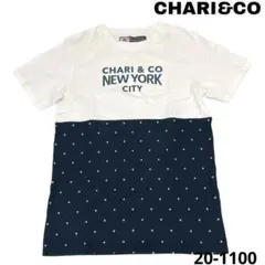 CHARI&CO チャリアンドコー 切替ドットTシャツ Mサイズのサムネイル