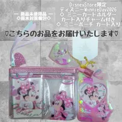 ディズニーストア アイドルミニー　ミニーの日　ミニー カードケース ポーチ