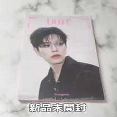 Straykids スンミン do it アコーディオン CD 新品未開封