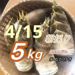 4月16日（木曜日）発送 京都山城産 たけのこ 3Kg - メルカリ