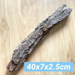 Item thumbnail for item 36372bee-ec2a-4e31-8dbb-cf3802b2b40d