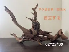 HX-253 流木 マシンガンウッド ホーンウッド アクアリウム ブランチ