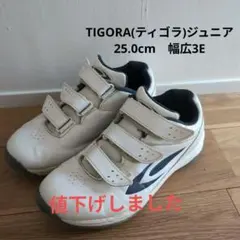 Item thumbnail for item c810d0c5-139b-4cd0-9a3d-6eab5dec1ce2