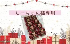 しーちゃん様専用♡