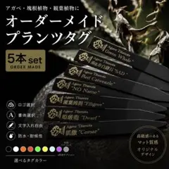 2026年最新】プランツタグ アガベの人気アイテム - メルカリ