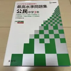 最高水準問題集 公民 中学3年