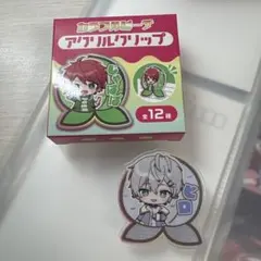 カラフルピーチアクリルクリップヒロ