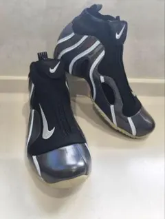 NIKE Flightposite Metallic Silver