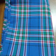 Item thumbnail for item 101b5d52-e339-45ca-b4bb-32bb3f788005