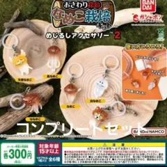 なめこ栽培 めじるしアクセサリー コンプリートセット