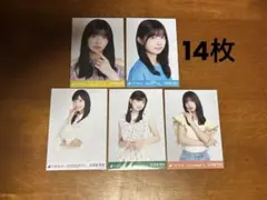 乃木坂46 生写真 五百城茉央 まとめ売り 14枚
