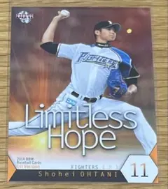 2026年最新】2014 大谷翔平の人気アイテム - メルカリ