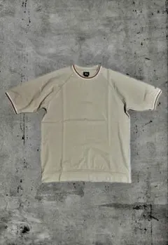 old stussy 90s-00s 紺タグ　old skate