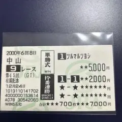ツルマルツヨシ　馬券　有馬記念　WINS石和