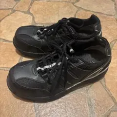 Item thumbnail for item f5a096d8-134a-4f08-bae0-a5ca1dde8a7e