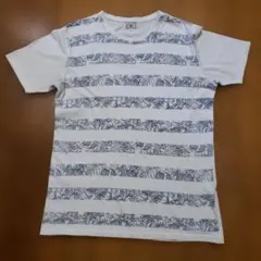 TK (タケオキクチ)　ボタニカルリーフ柄 ボーダー半袖Tシャツ（XL）男女兼用のサムネイル